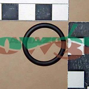 0273600 - Amazone O Ring 20.7/2.6/25.9