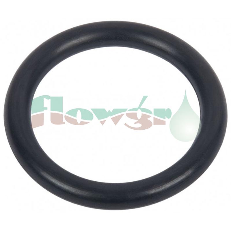 0280600 - Amazone Valve O-Ring