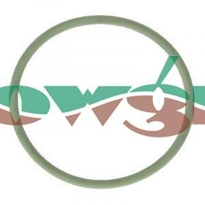 0286600 - Amazone O-Ring 70x4