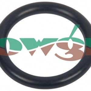 12100419 - Comet Valve O-Ring
