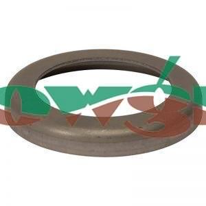 161745 - Hardi Crankshaft Ring