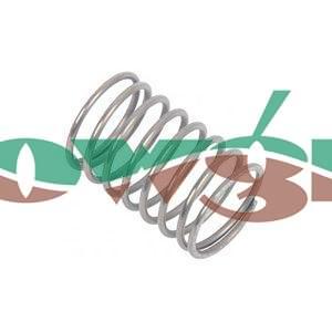 18020015 - Comet BP105 Valve Spring ( 11 x 17 )