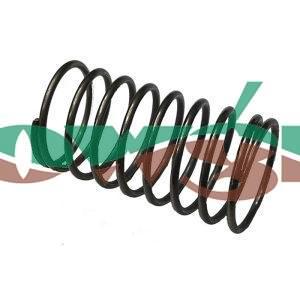18020196 - Comet Valve Spring