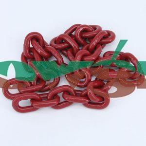 194793 - Hardi Chain D7/21 700mm
