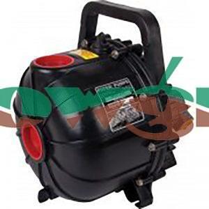 200P-HM6 - Hydraulic Motor / Pacer Pump