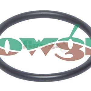 240457 - Hardi De-Icer Pump Valve Seal (Small)