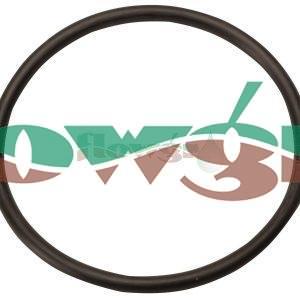 240925 - Hardi O-Ring 49.5x3
