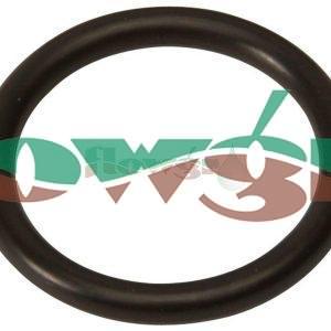 240951 - Hardi O-Ring 21.2 X 3