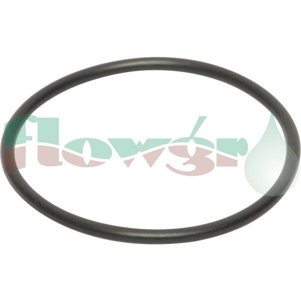 240962 - Hardi O-Ring 54.5x