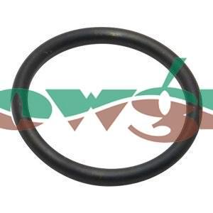 241382 - Hardi O-Ring