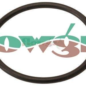 241673 - Hardi O-Ring 22.1x1.6