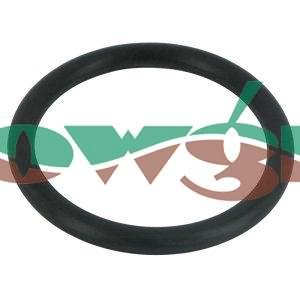 242043 - Hardi O-Ring 49.2x5.7