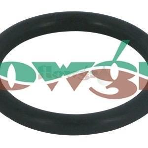 242113 - Hardi O-Ring Viton B9