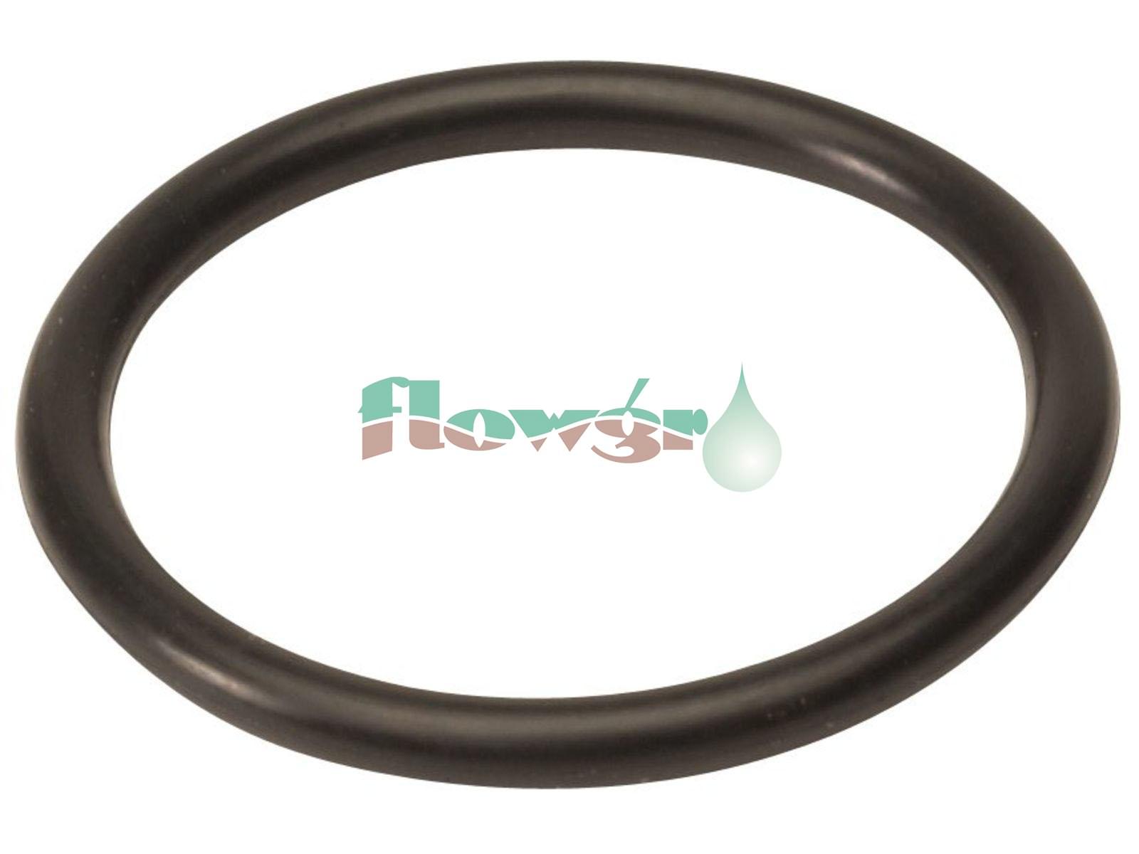 242463 - Hardi O-Ring D17.17 x