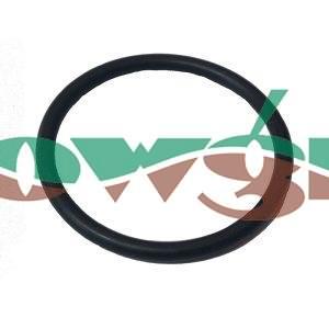 242513 - Hardi O-Ring F 361D