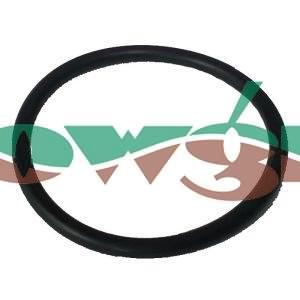 24272100 - Hardi De-Icer Pump Valve Seal - Large