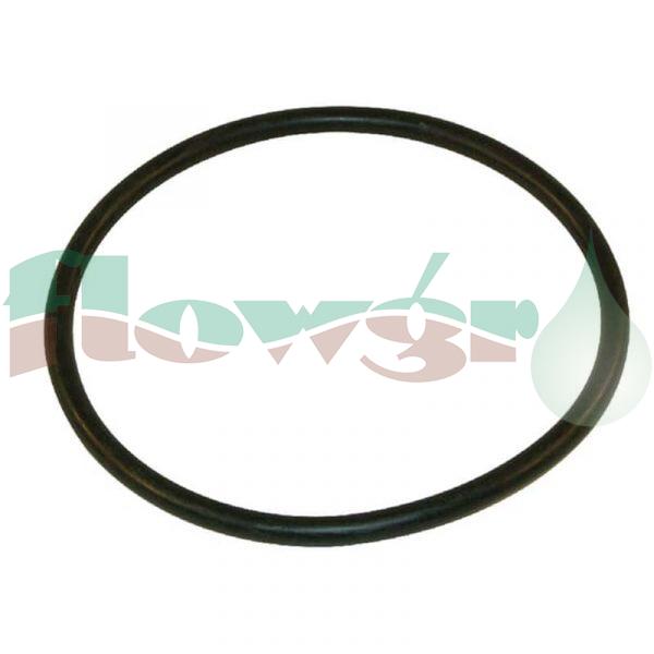335000.050 - Arag 3in Y Filter O-Ring
