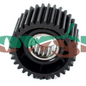 3900-0039 - Hypro Drive Gear and Bearing