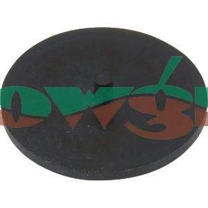 4200-0004E - Hypro ProFlo Diaphragm (EPDM)