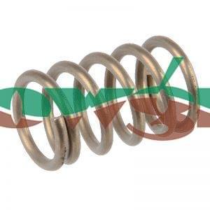 7318300 - Amazone Filter Spring