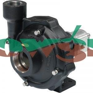 9307C-GM10 - Hypro 9307C Hydraulic Pump GM10 Motor