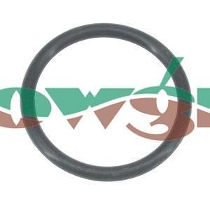ALT80021 - Altek Valve O-Ring F 80076
