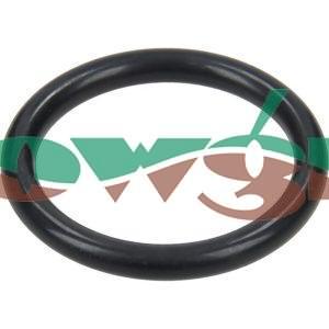 AR320030 - AR Pump Valve O-Ring 31.5x4.5