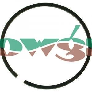 AR500260 - Annovi Reverberi Piston Ring D80