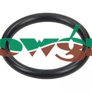 AR680070 - Annovi Reverberi Pump Valve O-Ring