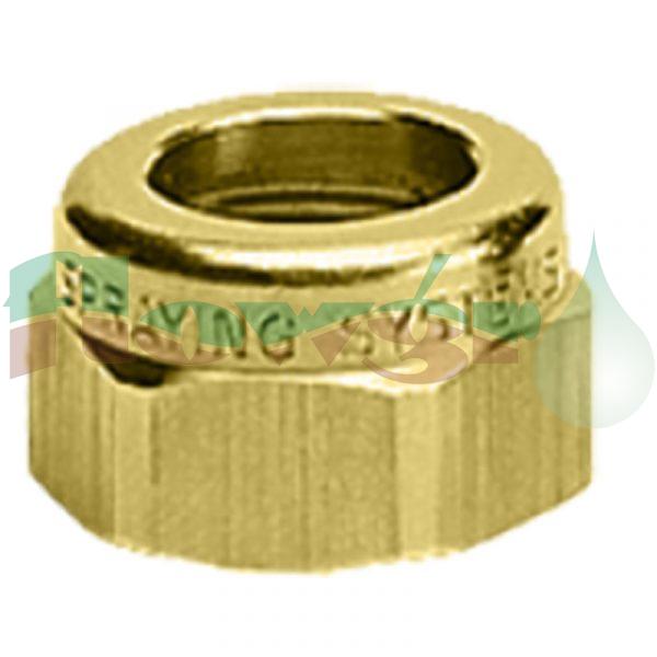 CP1325 - TeeJet Cap - Brass
