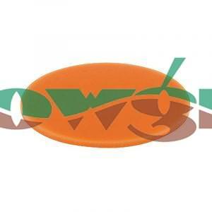 CP63381-PUR - TeeJet Diaphragm