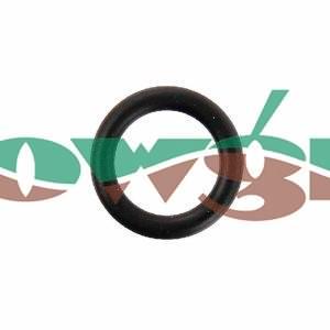 FC098 - Amazone O-Ring 10.0x2.50 FKM 70