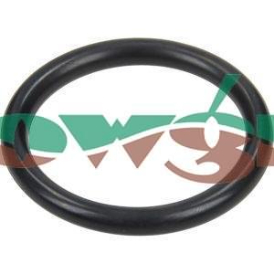 FC261 - Amazone Valve O-Ring