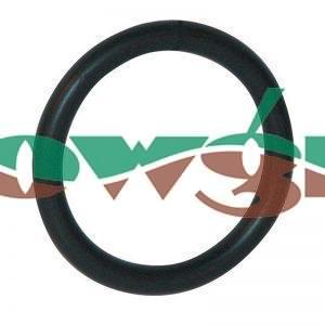 G10031 - Arag O-Ring F 3/4in Fitting