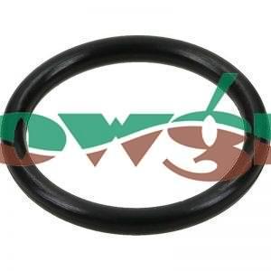 G10051 - Arag O-Ring F 11/4in Fitting