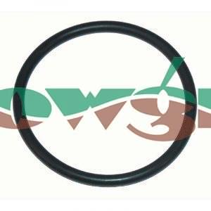 G10062 - Arag O-Ring 3.53x47.22