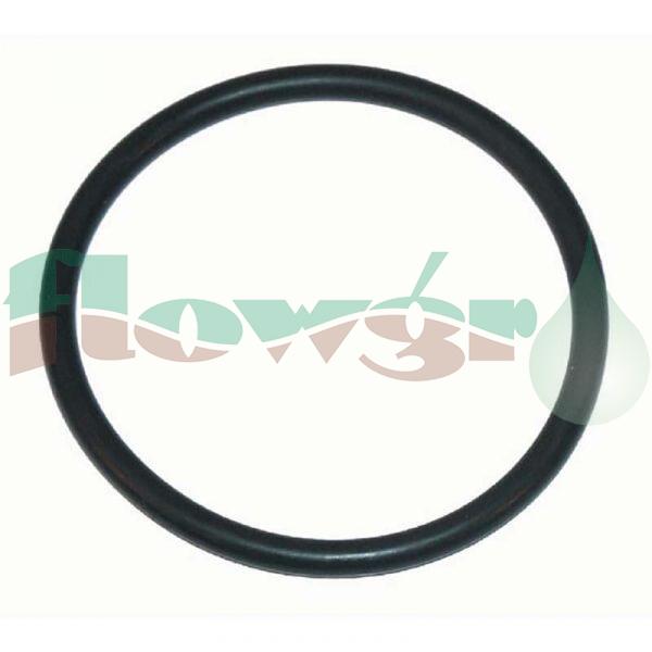 G10062 - Arag O-Ring 3.53x47.22