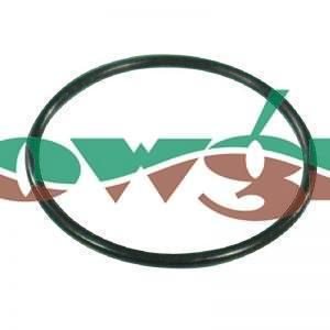 G10071 - Arag O-Ring F 2in Fitting