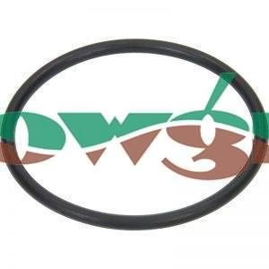 G10081 - Arag O-Ring F 21/2in Fitting