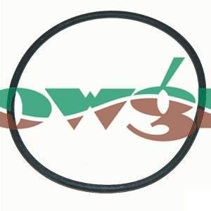 G10092 - Arag O-Ring 3in