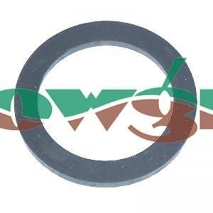 G40004 - Arag 1in Flat Gasket