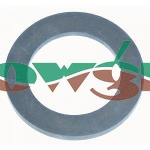 G40005 - Arag 11/4in Flat Gasket