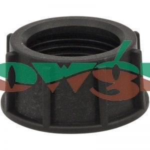GE157 - Amazone Nut 1in