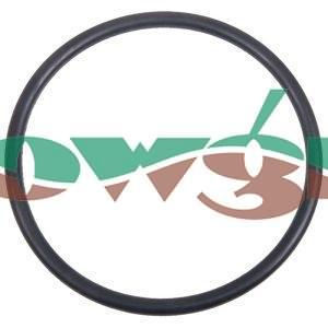 LS150G - Banjo 2in Y Filter Bowl Gasket