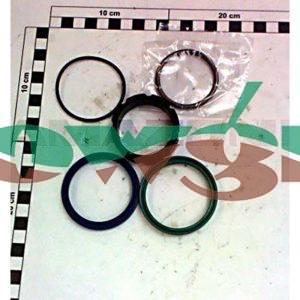 YDSP05002 - Amazone Seal Kit F Cylinder