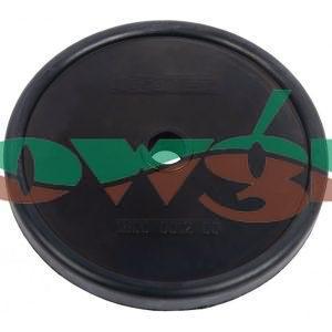 ZF301 - Amazone Pump Diaphragm D=125