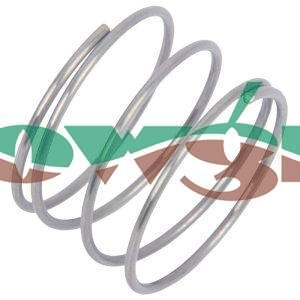 ZF626 - Amazone Valve Spring 1x21x14